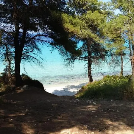 Paradise