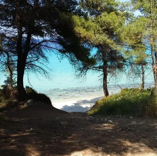Paradise